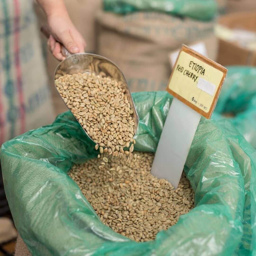 Salah satu biji kopi yang disediakan di Northsider Coffee